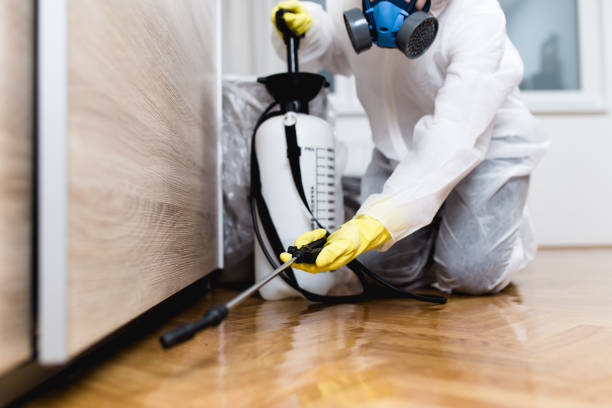 Flea Control Services in Brackenridge, PA