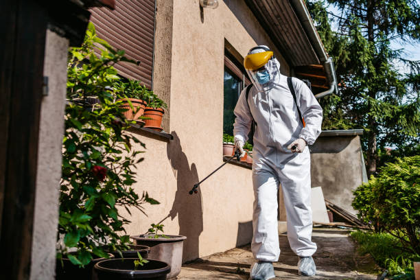Best Flea Control Services  in Brackenridge, PA