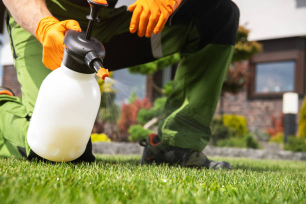 Best Mosquito Control Services  in Brackenridge, PA