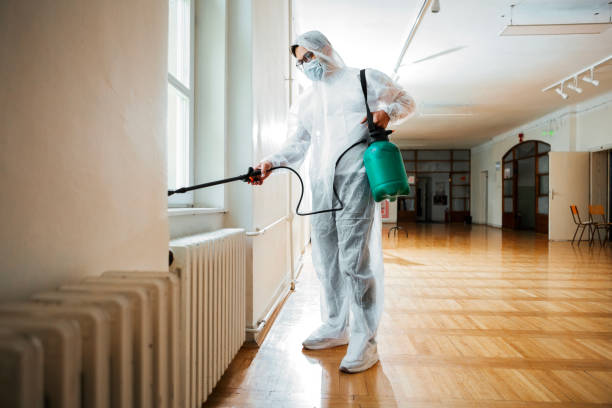 Best Mosquito Control Services  in Brackenridge, PA